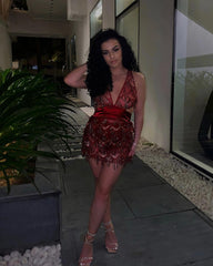 Holly Glam Berry Ombre Sequin Tassel Fringe Sheer Dress