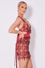 Holly Glam Berry Ombre Sequin Tassel Fringe Sheer Dress