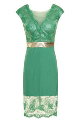 Tanya Green Lace Embroidered Mesh Fitted Dress