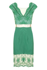 Tanya Green Lace Embroidered Mesh Fitted Dress