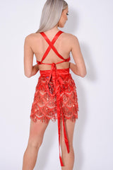 Holly Glam Red Ombre Sequin Tassel Fringe Sheer Dress