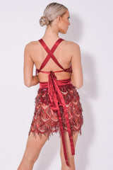 Holly Glam Berry Ombre Sequin Tassel Fringe Sheer Dress