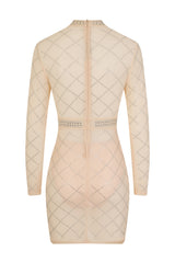 Lopez Nude Crystal Rhinestone Embellished Sheer Mesh Bodycon Dress